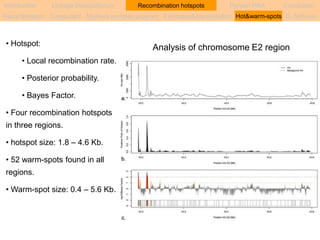 Introduction Linkage Disequilibrium Recombination hotspots Persian PRA Conclusion 
Recombination Coalescent Markers samples program Estimates&interpretation Hot&warm-spots G. features 
• Hotspot: Analysis of chromosome E2 region 
• Local recombination rate. 
• Posterior probability. 
• Bayes Factor. 
• Four recombination hotspots 
in three regions. 
• hotspot size: 1.8 – 4.6 Kb. 
• 52 warm-spots found in all 
regions. 
• Warm-spot size: 0.4 – 5.6 Kb. 
 