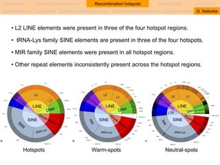 Introduction Linkage Disequilibrium Recombination hotspots Persian PRA Conclusion 
Recombination Coalescent Markers samples program Estimates&interpretation Hot&warm-spots G. features 
• L2 LINE elements were present in three of the four hotspot regions. 
• tRNA-Lys family SINE elements are present in three of the four hotspots. 
• MIR family SINE elements were present in all hotspot regions. 
• Other repeat elements inconsistently present across the hotspot regions. 
Hotspots Warm-spots Neutral-spots 
 