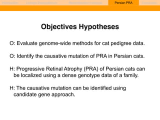 Introduction Linkage Disequilibrium Recombination hotspots Persian PRA Conclusion 
Objectives Hypotheses 
O: Evaluate genome-wide methods for cat pedigree data. 
O: Identify the causative mutation of PRA in Persian cats. 
H: Progressive Retinal Atrophy (PRA) of Persian cats can 
be localized using a dense genotype data of a family. 
H: The causative mutation can be identified using 
candidate gene approach. 
 