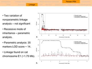Introduction Linkage Disequilibrium Recombination hotspots Persian PRA Conclusion 
PRA Samples Linkage TDT sib-TDT Case-Control Haplotype Candidate genes 
• Two variation of 
nonparametric linkage 
analysis – not significant 
• Recessive mode of 
inheritance – parametric 
analysis. 
• Parametric analysis: 35 
markers LOD score ~ 14. 
• Linkage found on cat 
chromosome E1 (~1.75 Mb). 
 