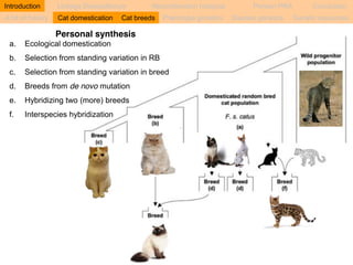Introduction Linkage Disequilibrium Recombination hotspots Persian PRA Conclusion 
A bit of history Cat domestication Cat breeds Phenotype genetics Disease genetics Genetic resources 
Personal synthesis 
a. Ecological domestication 
b. Selection from standing variation in RB 
c. Selection from standing variation in breed 
d. Breeds from de novo mutation 
e. Hybridizing two (more) breeds 
f. Interspecies hybridization 
 