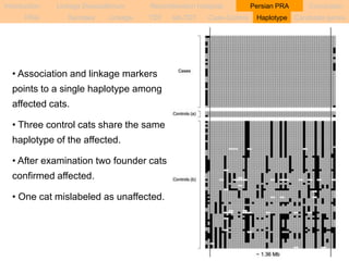 Introduction Linkage Disequilibrium Recombination hotspots Persian PRA Conclusion 
PRA Samples Linkage TDT sib-TDT Case-Control Haplotype Candidate genes 
• Association and linkage markers 
points to a single haplotype among 
affected cats. 
• Three control cats share the same 
haplotype of the affected. 
• After examination two founder cats 
confirmed affected. 
• One cat mislabeled as unaffected. 
 