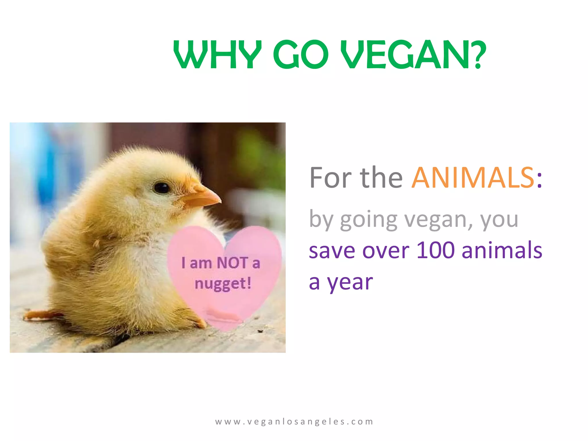 For the  ANIMALS : by going vegan, you  save over 100 animals a year WHY GO VEGAN? w w w . v e g a n l o s a n g e l e s . c o m 