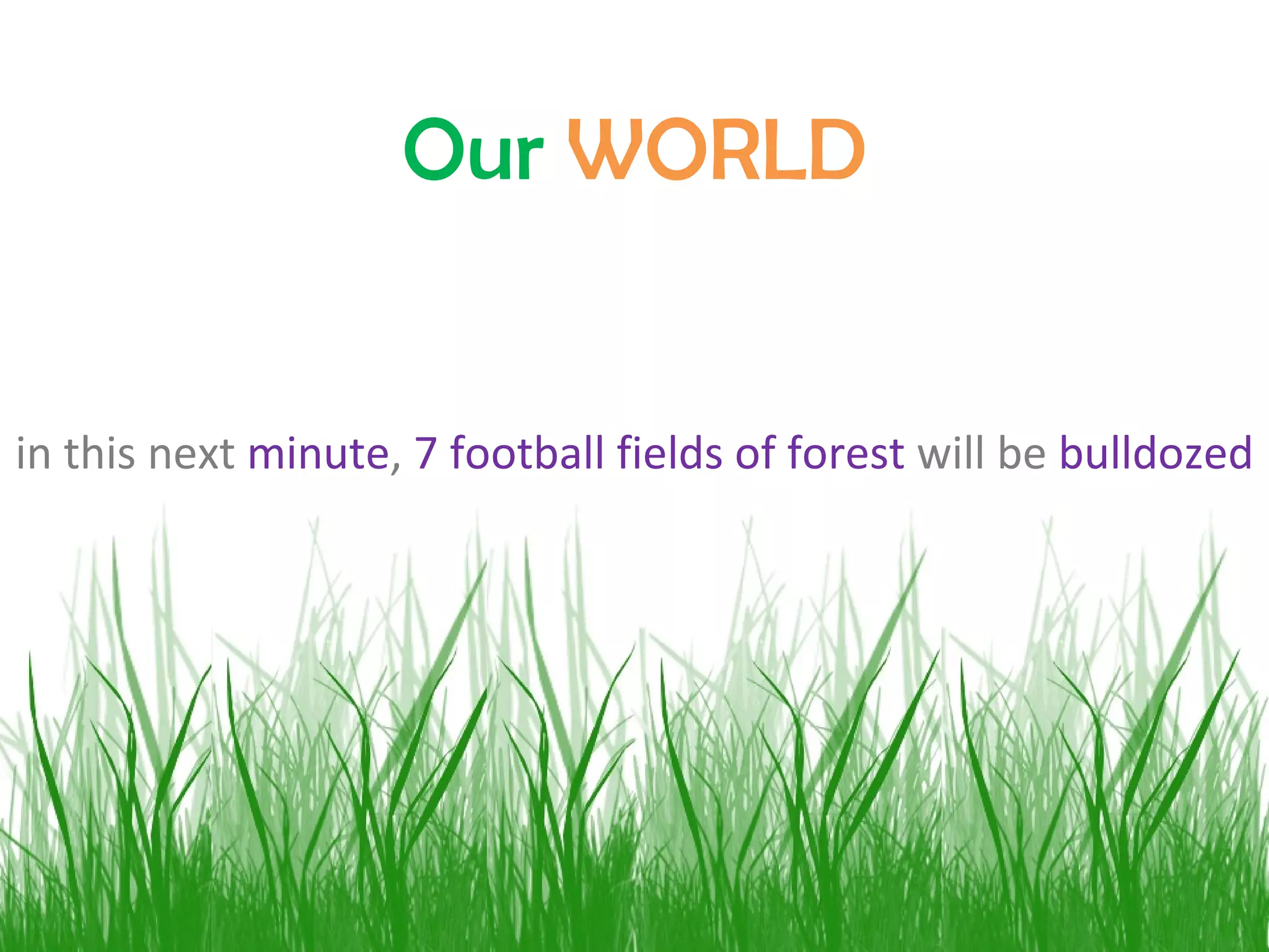 in this next  minute ,  7 football fields of forest  will be  bulldozed  Our   WORLD 
