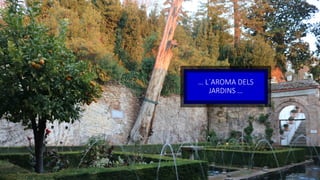 … L´AROMA DELS
JARDINS …
 