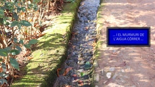 … I EL MURMURI DE
L´AIGUA CÓRRER …
 