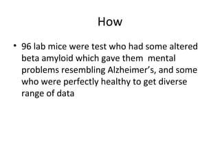 How 96 lab mice were test who had some altered beta amyloid which gave them  mental problems resembling Alzheimer’s, and some who were perfectly healthy to get diverse range of data 