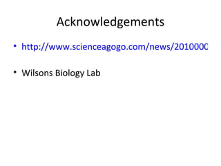 Acknowledgements http://www.scienceagogo.com/news/20100006215501datatruncsys.shtml   Wilsons Biology Lab 