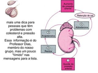 mais uma dica para pessoas que têm  problemas com colesterol e pressão alta.  Essa  informação é do Professor Dias, membro do nosso grupo, mas um pouco  "tímido" nas mensagens para a lista. 