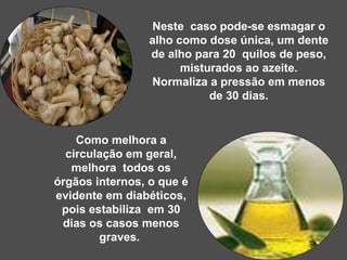   Como melhora a circulação em geral, melhora  todos os órgãos internos, o que é evidente em diabéticos, pois estabiliza  em 30 dias os casos menos graves.  Neste  caso pode-se esmagar o alho como dose única, um dente de alho para 20  quilos de peso, misturados ao azeite. Normaliza a pressão em menos de 30 dias. 