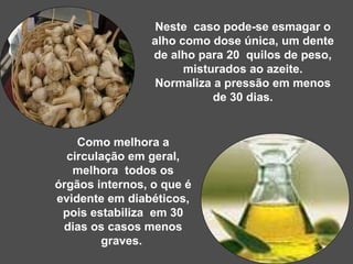  
Como melhora a 
circulação em geral, 
melhora  todos os 
órgãos internos, o que é 
evidente em diabéticos, 
pois estabiliza  em 30 
dias os casos menos 
graves. 
Neste  caso pode-se esmagar o 
alho como dose única, um dente 
de alho para 20  quilos de peso, 
misturados ao azeite.
Normaliza a pressão em menos 
de 30 dias.
 