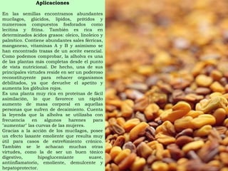 Aplicaciones En las semillas encontramos abundantes muc í lagos, gl ú cidos, l í pidos, pr ó tidos y numerosos compuestos fosforados como lecitina y fitina. Tambi é n es rica en determinados  á cidos grasos: oleico, linoleico y palm í tico. Contiene abundantes sales f é rricas, manganeso, vitaminas A y B y asimismo se han encontrado trazas de un aceite esencial. Como podemos comprobar, la alholva es una de las plantas m á s completas desde el punto de vista nutricional. De hecho, una de sus principales virtudes reside en ser un poderoso reconstituyente para rehacer organismos debilitados, ya que devuelve el apetito y aumenta los gl ó bulos rojos. Es una planta muy rica en prote í nas de f á cil asimilaci ó n, lo que favorece un r á pido aumento de masa corporal en aquellas personas que sufren de decaimiento. Cuenta la leyenda que la alholva se utilizaba con frecuencia en algunos harenes para "aumentar" las curvas de las mujeres. Gracias a la acci ó n de los muc í lagos, posee un efecto laxante emoliente que resulta muy  ú til para casos de estre ñ imiento cr ó nico. Tambi é n se le achacan muchas otras virtudes, como la de ser un buen t ó nico digestivo, hipoglucemiante suave, antiinflamatorio, emoliente, demulcente y hepatoprotector. 