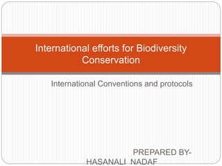 International Conventions and protocols
PREPARED BY-
HASANALI NADAF
International efforts for Biodiversity
Conservation
 