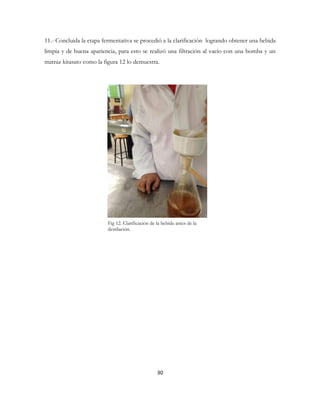 30
11.- Concluida la etapa fermentativa se procedió a la clarificación logrando obtener una bebida
limpia y de buena apariencia, para esto se realizó una filtración al vacío con una bomba y un
matraz kitasato como la figura 12 lo demuestra.
Fig 12. Clarificación de la bebida antes de la
destilación.
 