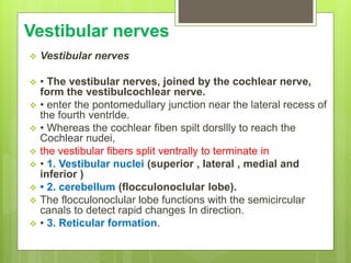 Vestibular nerves
 Vestibular nerves
 • The vestibular nerves, joined by the cochlear nerve,
form the vestibulcochlear nerve.
 • enter the pontomedullary junction near the lateral recess of
the fourth ventrlde.
 • Whereas the cochlear fiben spilt dorsllly to reach the
Cochlear nudei,
 the vestibular fibers split ventrally to terminate in
 • 1. Vestibular nuclei (superior , lateral , medial and
inferior )
 • 2. cerebellum (flocculonoclular lobe).
 The flocculonoclular lobe functions with the semicircular
canals to detect rapid changes In direction.
 • 3. Reticular formation.
 