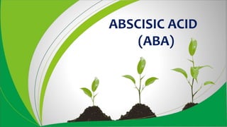 ABSCISIC ACID
(ABA)
 