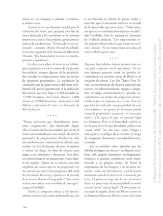 106
micos en sus bosques, o plantar corredores,
o ambas cosas.
A pesar de ser un elemento crucial para la
salvación del mico, esta pequeña porción de
tierra dedicada a los corredores es de mínima
importancia para el hacendado, generalmente
menos de una hectárea. “Si fuera de mayor ex-
tensión”, comenta Denise Marçal Rambaldi,
la secretaria general de la Asociación Micoleón
Dorado, “[los hacendados] no estarían tan dis-
puestos a ayudarnos”.
La clave para salvar al mico es su hábitat,
que en gran parte está en manos de los grandes
hacendados, aunque algunas de las propieda-
des situadas estratégicamente están en manos
de pequeños propietarios. La asociación ha
concluido que la supervivencia del mico en li-
bertad sólo puede garantizarse si la población
del animal, que hoy llega a 1.200 animales en
17.000 hectáreas, crece hasta alcanzar 2.000
micos en 25.000 hectáreas, todas dentro del
hábitat tradicional del mico en el estado de
Río de Janeiro.
“Nunca pensamos que obtendríamos seme-
jante cooperación”, dijo Rambaldi. Según
ella, el interés de los hacendados por salvar al
mico está motivado por una mezcla de interés
personal y de pragmatismo. Muchos de ellos
son profesionales o funcionarios oﬁciales que
residen en Río de Janeiro durante la semana
y visitan sus ﬁncas los ﬁnes de semana para
pagar a sus jornaleros y descansar. Para ellos,
ser terrateniente es un pasatiempo y una fuen-
te de orgullo. ¿Quién no se sentiría aún más
orgulloso de contar que en su propiedad vive
un animal que sale en los programas del canal
de televisión Discovery y aparece en la portada
de la revista National Geographic? “Los micos
se han convertido en un símbolo de prestigio”,
asegura Rambaldi.
Unirse al programa ofrece a los terrate-
nientes credenciales como ambientalistas, con
la certiﬁcación en forma de placas verdes y
amarillas que la asociación coloca a la entrada
de las haciendas que participan. “Todos quie-
ren que se les considere benefactores sociales”,
dijo Rambaldi. Esto lo acentúa un elemento
de rivalidad amistosa. “Los terratenientes es-
tán siempre observando lo que hacen sus veci-
nos”, añadió. “Si un vecino tiene una placa el
otro también quiere una”.
Algunos hacendados tienen razones más se-
rias para cooperar con la asociación. Un te-
mor siempre presente entre los grandes te-
rratenientes en muchas zonas de Brasil es la
invasión de tierras. Los Sin Tierra (Sem Te-
rra), un movimiento de alcance nacional que
cuenta con administradores, equipo y aboga-
dos, investiga constantemente a grandes te-
rratenientes con títulos de propiedad cuestio-
nables o que no explotan sus tierras. Una vez
que han identiﬁcado una propiedad de esas
características, un grupo de invasores puede
tomar la propiedad y ocuparla —a veces por
años— a la espera de que un proceso legal
les favorezca. Pero si el hacendado utiliza su
tierra para servir lo que Rambaldi caliﬁca una
“causa noble” (en este caso, como refugio a
una especie en peligro de extinción) el riesgo
de ocupación disminuye considerablemente,
comenta.
Los hacendados saben también que los
árboles protegen sus tierras y sus fuentes acuí-
feras. Así, cuando mantienen los fragmentos
forestales o plantan corredores, están bene-
ﬁciando a sus propias tierras. En Brasil, la
importancia de los bosques y de las áreas na-
turales como una herramienta para la buena
administración de la tierra está reconocida por
la ley. El gobierno exige que los terratenientes
dejen un porcentaje de su propiedad en estado
natural como “reserva legal”. El porcentaje va-
ría según la región, desde un 80 por ciento en
el Amazonas hasta un 20 por ciento en la zona
©BancoInteramericanodeDesarrollo.Todoslosderechosreservados.
VisitenuestrositioWebparaobtenermásinformación:www.iadb.org/pub
 