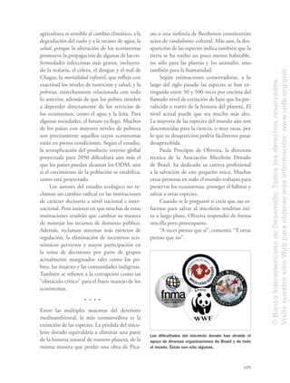 109
sso o una sinfonía de Beethoven constituirían
actos de vandalismo cultural. Más aún, la des-
aparición de las especies indica también que la
tierra se ha vuelto un poco menos habitable,
no sólo para las plantas y los animales, sino
también para la humanidad.
Según estimaciones conservadoras, a lo
largo del siglo pasado las especies se han ex-
tinguido entre 50 y 500 veces por encima del
llamado nivel de extinción de base que ha pre-
valecido a través de la historia del planeta. El
nivel actual puede que sea mucho más alto.
La mayoría de las especies del mundo aún son
desconocidas para la ciencia, o muy raras, por
lo que su desaparición podría fácilmente pasar
desapercibida.
Paula Procópio de Oliveira, la directora
técnica de la Asociación Micoleón Dorado
de Brasil, ha dedicado su carrera profesional
a la salvación de este pequeño mico. Muchas
otras personas en todo el mundo trabajan para
preservar los ecosistemas, proteger el hábitat y
salvar a otras especies.
Cuando se le preguntó si creía que sus es-
fuerzos para salvar al micoleón tendrían éxi-
to a largo plazo, Oliveira respondió de forma
sencilla pero preocupante.
“A veces pienso que sí”, comentó. “Y otras
pienso que no”.
agricultura es sensible al cambio climático, a la
degradación del suelo y a la escasez de agua; la
salud, porque la alteración de los ecosistemas
promueve la propagación de algunas de las en-
fermedades infecciosas más graves, incluyen-
do la malaria, el cólera, el dengue y el mal de
Chagas; la mortalidad infantil, que reﬂeja con
exactitud los niveles de nutrición y salud; y la
pobreza, estrechamente relacionada con todo
lo anterior, además de que los pobres tienden
a depender directamente de los servicios de
los ecosistemas, como el agua y la leña. Para
algunas sociedades, el futuro ya llegó. Muchos
de los países con mayores niveles de pobreza
son precisamente aquellos cuyos ecosistemas
están en peores condiciones. Según el estudio,
la sextuplicación del producto interno global
proyectada para 2050 diﬁcultará aún más el
que los países puedan alcanzar los ODM, aún
si el crecimiento de la población se estabiliza,
como está proyectado.
Los autores del estudio ecológico no re-
claman un cambio radical en las instituciones
de carácter decisorio a nivel nacional e inter-
nacional. Pero insisten en que muchas de estas
instituciones tendrán que cambiar su manera
de manejar los recursos de dominio público.
Además, reclaman sistemas más estrictos de
regulación, la eliminación de incentivos eco-
nómicos perversos y mayor participación en
la toma de decisiones por parte de grupos
actualmente marginados tales como los po-
bres, las mujeres y las comunidades indígenas.
También se reﬁeren a la corrupción como un
“obstáculo crítico” para el buen manejo de los
ecosistemas.
Entre las múltiples muestras del deterioro
medioambiental, la más conmovedora es la
extinción de las especies. La pérdida del mico-
león dorado equivaldría a eliminar una parte
de la historia natural de nuestro planeta, de la
misma manera que perder una obra de Pica-
Las diﬁcultades del micoleón dorado han atraído el
apoyo de diversas organizaciones de Brasil y de todo
el mundo. Éstas son sólo algunas.
©BancoInteramericanodeDesarrollo.Todoslosderechosreservados.
VisitenuestrositioWebparaobtenermásinformación:www.iadb.org/pub
 