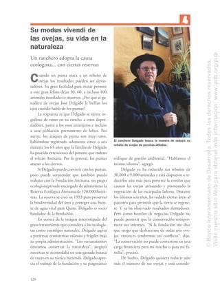 120
El ranchero Delgado busca la manera de reducir su
rebaño de ovejas de pezuñas aﬁladas.
Su modus vivendi de
las ovejas, su vida en la
naturaleza
Un ranchero adopta la causa
ecologista... con ciertas reservas
Cuando un puma ataca a un rebaño de
ovejas los resultados pueden ser devas-
tadores. Su gran facilidad para matar permite
a este gran felino dejar 50, 60, e incluso 100
animales mutilados o muertos. ¿Por qué al ga-
nadero de ovejas José Delgado le brillan los
ojos cuando habla de los pumas?
La respuesta es que Delgado se siente or-
gulloso de tener en su rancho a estos depre-
dadores, junto a los osos anteojeros e incluso
a una población permanente de lobos. Por
suerte, los ataques de puma son muy raros,
habiéndose registrado solamente cinco o seis
durante los 65 años que la familia de Delgado
ha poseído extensiones del páramo que rodean
el volcán Antisana. Por lo general, los pumas
atacan a los ciervos.
Si Delgado puede coexistir con los pumas,
poco puede sorprender que también pueda
trabajar con la Fundación Antisana, un grupo
ecologista privado encargado de administrar la
Reserva Ecológica Antisana de 120,000 hectá-
reas. La reserva se creó en 1993 para preservar
la biodiversidad del área y proteger una fuen-
te de agua vital para Quito. Delgado es socio
fundador de la fundación.
En contra de la imagen estereotipada del
gran terrateniente que considera a los ecologis-
tas como enemigos naturales, Delgado aspira
a preservar ecosistemas valiosos y frágiles bajo
su propia administración. “Los terratenientes
deseamos conservar la naturaleza”, aseguró
mientras se acomodaba en una gastada butaca
de cuero en su rústica hacienda. Delgado apre-
cia el trabajo de la fundación y su pragmático
enfoque de gestión ambiental. “Hablamos el
mismo idioma”, agregó.
Delgado ya ha reducido sus rebaños de
30.000 a 9.000 animales y está dispuesto a re-
ducirlos aún más para prevenir la erosión que
causan las ovejas arrasando y pisoteando la
vegetación de las escarpadas laderas. Durante
los últimos seis años, ha vedado ciertas áreas al
pastoreo para permitir que la tierra se regene-
re. Y ya ha observado resultados alentadores.
Pero como hombre de negocios Delgado no
puede permitir que la conservación compro-
meta sus intereses. “Si la fundación me dice
que tengo que deshacerme de todas mis ove-
jas, entonces tendremos un conﬂicto”, dijo.
“La conservación no puede convertirse en una
carga ﬁnanciera para mi rancho o para mi fa-
milia”, precisó.
De hecho, Delgado quisiera reducir aún
más el número de sus ovejas y está conside-
©BancoInteramericanodeDesarrollo.Todoslosderechosreservados.
VisitenuestrositioWebparaobtenermásinformación:www.iadb.org/pub
 