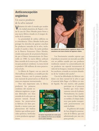 15
Anticoncepción
orgánica
Un nuevo producto
de la selva natural
Visitantes de todo el mundo que acuden
a la ciudad amazónica de Xapuri a visi-
tar la casa de Chico Mendes pasan frente a
una nueva fábrica situada en el margen de-
recho de la carretera.
La proximidad de ambos ediﬁcios no
es coincidencia. Chico Mendes luchó para
proteger los derechos de quienes cosechan
los productos naturales de la selva, inclu-
yendo el caucho o látex. Su sueño perdura
en la Reserva Extractora Chico Mendes,
creada como parte de un proyecto ﬁnancia-
do por el Banco Interamericano de Desa-
rrollo en 1980. La nueva fábrica utilizará
látex extraído de la reserva por 350 cauche-
ros para producir condones. La meta inicial
es producir 100 millones de estos preserva-
tivos al año.
La fábrica de Xapuri, con un costo de
10,6 millones de dólares, es notable por dos
razones. Primero, será la primera produc-
tora nacional de preservativos en Brasil; las
otras son empresas internacionales.
Pero más importante aún, la fábrica
producirá los primeros
condones del mundo to-
talmente orgánicos, ya que
son fabricados con látex
extraído de la selva por un
proceso natural. Actual-
mente, los preservativos
se fabrican con látex pro-
ducido a menor costo por
plantaciones del Sudeste
Asiático que utilizan pesti-
cidas químicos, herbicidas
y otros productos agroquí-
micos.
Los funcionarios estatales esperan que
el producto encuentre un mercado accesible
con un público atraído por este producto
totalmente natural. La comercialización de
un producto tan especial incrementará el
valor de los bosques y mejorará el ingreso de
los caucheros, evitando su creciente abando-
no de los “senderos del caucho”.
Una de las diﬁcultades de fabricar con-
dones con látex natural de la selva es que
el material debe llegar a la fábrica en esta-
do líquido. Por este motivo, sólo pueden
participar en el proyecto
familias que viven relati-
vamente cerca de la planta.
Normalmente, los cauche-
ros vierten el látex líquido
en moldes y lo dejan endu-
recer para poder transpor-
tarlo posteriormente con
toda facilidad.
El gobierno del estado
de Acre dirigió la construc-
ción de la fábrica, que será
administrada por una em-
presa privada.
Un factor importante de venta para
los condones de Acre es su vínculo
con la selva húmeda.
Una fábrica de preservativos orgánicos ofrece a los
caucheros una nueva fuente de ingresos vitales.
©BancoInteramericanodeDesarrollo.Todoslosderechosreservados.
VisitenuestrositioWebparaobtenermásinformación:www.iadb.org/pub
 