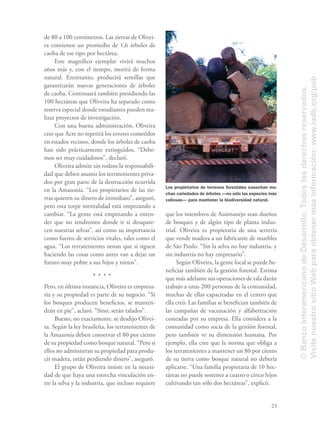 23
de 80 a 100 centímetros. Las tierras de Olivei-
ra contienen un promedio de 1,6 árboles de
caoba de ese tipo por hectárea.
Este magníﬁco ejemplar vivirá muchos
años más y, con el tiempo, morirá de forma
natural. Entretanto, producirá semillas que
garantizarán nuevas generaciones de árboles
de caoba. Continuará también presidiendo las
100 hectáreas que Oliveira ha separado como
reserva especial donde estudiantes pueden rea-
lizar proyectos de investigación.
Con una buena administración, Oliveira
cree que Acre no repetirá los errores cometidos
en estados vecinos, donde los árboles de caoba
han sido prácticamente extinguidos. “Debe-
mos ser muy cuidadosos”, declaró.
Oliveira admite sin rodeos la responsabili-
dad que deben asumir los terratenientes priva-
dos por gran parte de la destrucción ocurrida
en la Amazonía. “Los propietarios de las tie-
rras quieren su dinero de inmediato”, aseguró,
pero esta torpe mentalidad está empezando a
cambiar. “La gente está empezando a enten-
der que no tendremos donde ir si desapare-
cen nuestras selvas”, así como su importancia
como fuente de servicios vitales, tales como el
agua. “Los terratenientes notan que si siguen
haciendo las cosas como antes van a dejar un
futuro muy pobre a sus hijos y nietos”.
Pero, en última instancia, Oliveira es empresa-
ria y su propiedad es parte de su negocio. “Si
los bosques producen beneﬁcios, se manten-
drán en pie”, aclaró. “Sino, serán talados”.
Bueno, no exactamente, se desdijo Olivei-
ra. Según la ley brasileña, los terratenientes de
la Amazonía deben conservar el 80 por ciento
de su propiedad como bosque natural. “Pero si
ellos no administran su propiedad para produ-
cir madera, están perdiendo dinero”, aseguró.
El grupo de Oliveira insiste en la necesi-
dad de que haya una estrecha vinculación en-
tre la selva y la industria, que incluso requiere
que los miembros de Assimanejo sean dueños
de bosques y de algún tipo de planta indus-
trial. Oliveira es propietaria de una serrería
que vende madera a un fabricante de muebles
de São Paulo. “Sin la selva no hay industria, y
sin industria no hay empresario”.
Según Oliveira, la gente local se puede be-
neﬁciar también de la gestión forestal. Estima
que más adelante sus operaciones de tala darán
trabajo a unas 200 personas de la comunidad,
muchas de ellas capacitadas en el centro que
ella creó. Las familias se beneﬁcian también de
las campañas de vacunación y alfabetización
costeadas por su empresa. Ella considera a la
comunidad como socia de la gestión forestal,
pero también ve su dimensión humana. Por
ejemplo, ella cree que la norma que obliga a
los terratenientes a mantener un 80 por ciento
de su tierra como bosque natural no debería
aplicarse. “Una familia propietaria de 10 hec-
táreas no puede sostener a cuatro o cinco hijos
cultivando tan sólo dos hectáreas”, explicó.
Los propietarios de terrenos forestales cosechan mu-
chas variedades de árboles —no sólo las especies más
valiosas— para mantener la biodiversidad natural.
©BancoInteramericanodeDesarrollo.Todoslosderechosreservados.
VisitenuestrositioWebparaobtenermásinformación:www.iadb.org/pub
 