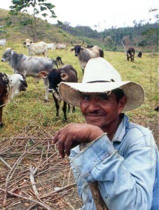 54
©BancoInteramericanodeDesarrollo.Todoslosderechosreservados.
VisitenuestrositioWebparaobtenermásinformación:www.iadb.org/pub
 