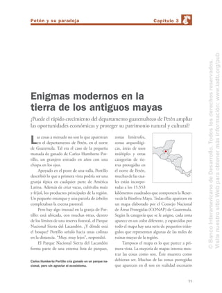 55
Las cosas a menudo no son lo que aparentan
en el departamento de Petén, en el norte
de Guatemala. Tal era el caso de la pequeña
manada de ganado de Carlos Humberto Por-
tillo, un granjero entrado en años con una
chispa en los ojos.
Apoyado en el poste de una valla, Portillo
describió lo que a primera vista podría ser una
granja típica en cualquier parte de América
Latina. Además de criar vacas, cultivaba maíz
y frijol, los productos principales de la región.
Un pequeño estanque y una parcela de árboles
completaban la escena pastoral.
Pero hay algo inusual en la granja de Por-
tillo: está ubicada, con muchas otras, dentro
de los límites de una reserva forestal, el Parque
Nacional Sierra del Lacandón. ¿Y dónde está
el bosque? Portillo señaló hacia unas colinas
en la distancia. “Muy, muy lejos”, respondió.
El Parque Nacional Sierra del Lacandón
forma parte de una extensa lista de parques,
Enigmas modernos en la
tierra de los antiguos mayas
¿Puede el rápido crecimiento del departamento guatemalteco de Petén ampliar
las oportunidades económicas y proteger su patrimonio natural y cultural?
zonas limítrofes,
zonas arqueológi-
cas, áreas de usos
múltiples y otras
categorías de tie-
rras protegidas en
el norte de Petén,
muchas de las cua-
les están incorpo-
radas a los 15.553
kilómetros cuadrados que componen la Reser-
va de la Biosfera Maya. Todas ellas aparecen en
un mapa elaborado por el Consejo Nacional
de Áreas Protegidas (CONAP) de Guatemala.
Según la categoría que se le asigne, cada zona
aparece en un color diferente, y esparcidos por
todo el mapa hay una serie de pequeños trián-
gulos que representan algunas de las miles de
ruinas mayas de la región.
Tampoco el mapa es lo que parece a pri-
mera vista. La mayoría de mapas intenta mos-
trar las cosas como son. Éste muestra como
debieran ser. Muchas de las zonas protegidas
que aparecen en él son en realidad escenario
Carlos Humberto Portillo cría ganado en un parque na-
cional, pero sin agraviar el ecosistema.
Capítulo 3Petén y su paradoja
©BancoInteramericanodeDesarrollo.Todoslosderechosreservados.
VisitenuestrositioWebparaobtenermásinformación:www.iadb.org/pub
 