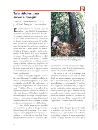 64
Talar árboles para
salvar el bosque
Un experimento pionero en la
gestión de bosques comunitarios
El hombre apalancó sus pies en la ladera de
la colina y colocó la hoja de su estridente
motosierra en el costado de un árbol de caoba.
Su propósito era cortar un segmento del tron-
co para poder controlar su caída. Dos cortes
en ángulo liberaron el segmento. El hombre
miró en dirección hacia donde el árbol iba a
caer. Con satisfacción se dispuso a iniciar un
tercer corte en la parte opuesta del tronco.
Una lluvia de aserrín húmedo y aceite se des-
prendía de los dientes de la sierra, manchan-
do su cara y brazos desnudos. Pronto el árbol
comenzó a trepidar y a inclinarse. El hombre
apartó la hoja del corte y se retiró de un salto
mientras el árbol, con su carga de plantas tre-
padoras y bromeliáceas, se desmoronó sobre
la tierra, arrastrando tras sí algunos árboles
de menor tamaño. Tras unos ligeros ajustes el
tronco quedó quieto.
Mientras el trabajador empezaba a cortar
las ramas del tronco, Sergio Gómez, el contra-
tista de la empresa encargada de la tala, hizo
un cálculo mental del valor del tronco. La
cooperativa propietaria de esta tierra recibiría
unos 175 dólares. Una vez el aserradero de su
compañía convirtiera el tronco en tablones, su
valor sería de unos 300 dólares. Cuando los
tablones llegaran a Europa, donde probable-
mente se seccionarían en capas ﬁnas para el
acabado de muebles ﬁnos o paneles, su precio
probablemente alcanzaría los 1.000 dólares.
El cortar árboles no parece una actividad
que contribuya a salvar el bosque tropical.
Pero todo depende de cómo se efectúa la tala.
En esta ocasión, la parcela de bosque está si-
tuada en el rincón más occidental de Petén,
el departamento al norte de Guatemala, y fue
recientemente obtenida en concesión del go-
bierno por un grupo de agricultores que con-
forman la Cooperativa El Arbolito.
La parcela es de 4.516 hectáreas, una
extensión importante en una parte de Petén
donde los bosques ya están bastante degrada-
dos. A pesar de la tala de 280 árboles este año,
la parcela aún se ve en buen estado. El objetivo
de la cooperativa es mantenerla así, al asegurar
que los propietarios reciban ingresos suﬁcien-
tes de los troncos para que la preservación del
bosque les resulte rentable. La cooperativa está
dando los primeros pasos hacia esta ambicio-
sa meta como parte de un proyecto piloto del
Programa de Desarrollo Sostenible de Petén.
Gran parte de los bosques que en el pasado
se extendían sin interrupción en Petén ha
desaparecido. La explotación de la industria
maderera en esta parte de departamento co-
menzó con vigor durante las décadas de la
Un árbol de caoba es sacriﬁcado para revalorizar la
selva y garantizar su supervivencia a largo plazo.
©BancoInteramericanodeDesarrollo.Todoslosderechosreservados.
VisitenuestrositioWebparaobtenermásinformación:www.iadb.org/pub
 