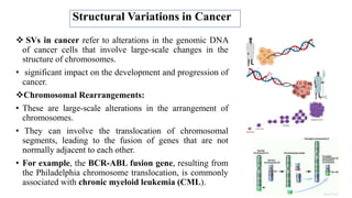 Structural Variations in Cancer
 SVs in cancer refer to alterations in the genomic DNA
of cancer cells that involve large-scale changes in the
structure of chromosomes.
• significant impact on the development and progression of
cancer.
Chromosomal Rearrangements:
• These are large-scale alterations in the arrangement of
chromosomes.
• They can involve the translocation of chromosomal
segments, leading to the fusion of genes that are not
normally adjacent to each other.
• For example, the BCR-ABL fusion gene, resulting from
the Philadelphia chromosome translocation, is commonly
associated with chronic myeloid leukemia (CML).
 