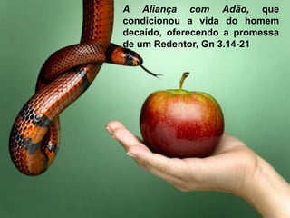 A Aliança com Adão, que
condicionou a vida do homem
decaído, oferecendo a promessa
de um Redentor, Gn 3.14-21
 