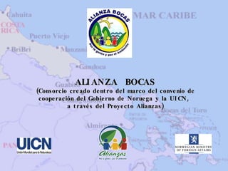 ALIANZA  BOCAS (Consorcio creado dentro del marco del convenio de cooperación del Gobierno de Noruega y la UICN,  a través del Proyecto Alianzas) 