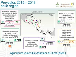 Alianza conjunta CCAFS-CATIE en el Trifinio