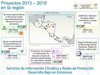 Alianza conjunta CCAFS-CATIE en el Trifinio