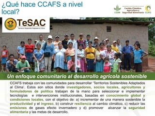 Alianza conjunta CCAFS-CATIE en el Trifinio