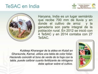 Alianza conjunta CCAFS-CATIE en el Trifinio