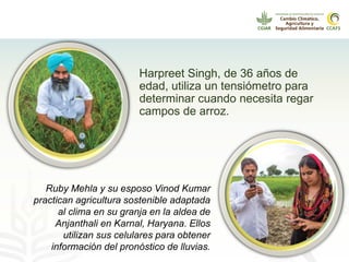 Alianza conjunta CCAFS-CATIE en el Trifinio