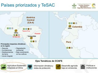 Alianza conjunta CCAFS-CATIE en el Trifinio