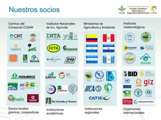 Alianza conjunta CCAFS-CATIE en el Trifinio