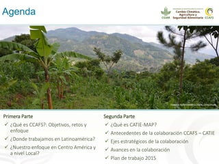Alianza conjunta CCAFS-CATIE en el Trifinio