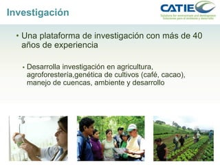 Alianza conjunta CCAFS-CATIE en el Trifinio