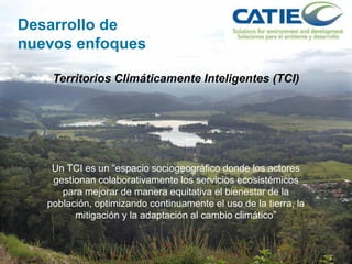Alianza conjunta CCAFS-CATIE en el Trifinio