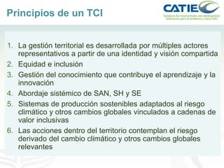 Alianza conjunta CCAFS-CATIE en el Trifinio