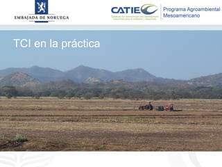 Alianza conjunta CCAFS-CATIE en el Trifinio