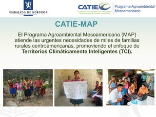 Alianza conjunta CCAFS-CATIE en el Trifinio