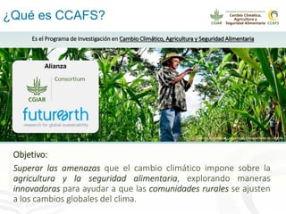 Alianza conjunta CCAFS-CATIE en el Trifinio