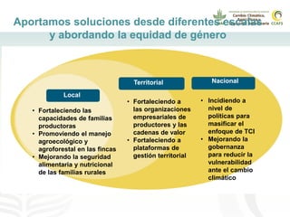 Alianza conjunta CCAFS-CATIE en el Trifinio