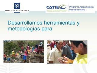 Alianza conjunta CCAFS-CATIE en el Trifinio