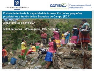 Alianza conjunta CCAFS-CATIE en el Trifinio