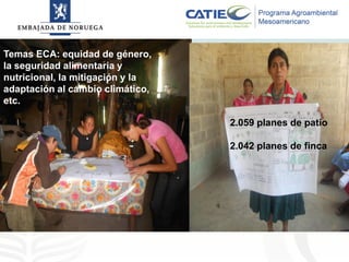Alianza conjunta CCAFS-CATIE en el Trifinio