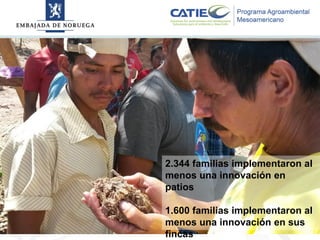 Alianza conjunta CCAFS-CATIE en el Trifinio